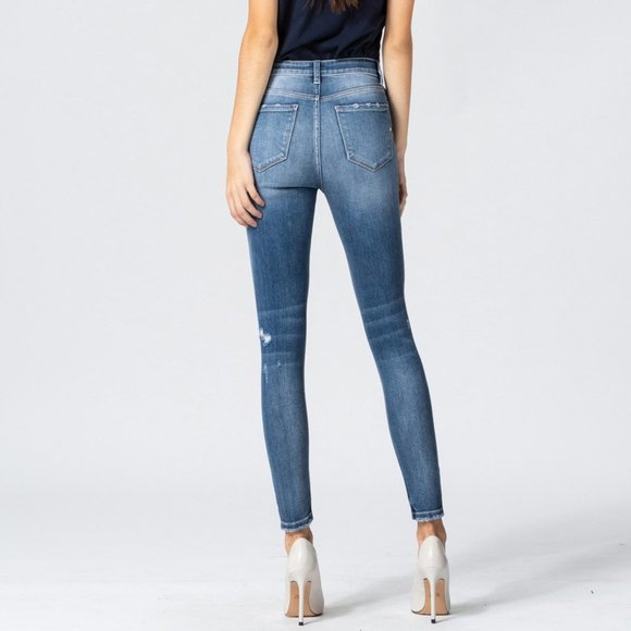 Vervet by Flying Monkey - Picture 2 of 2